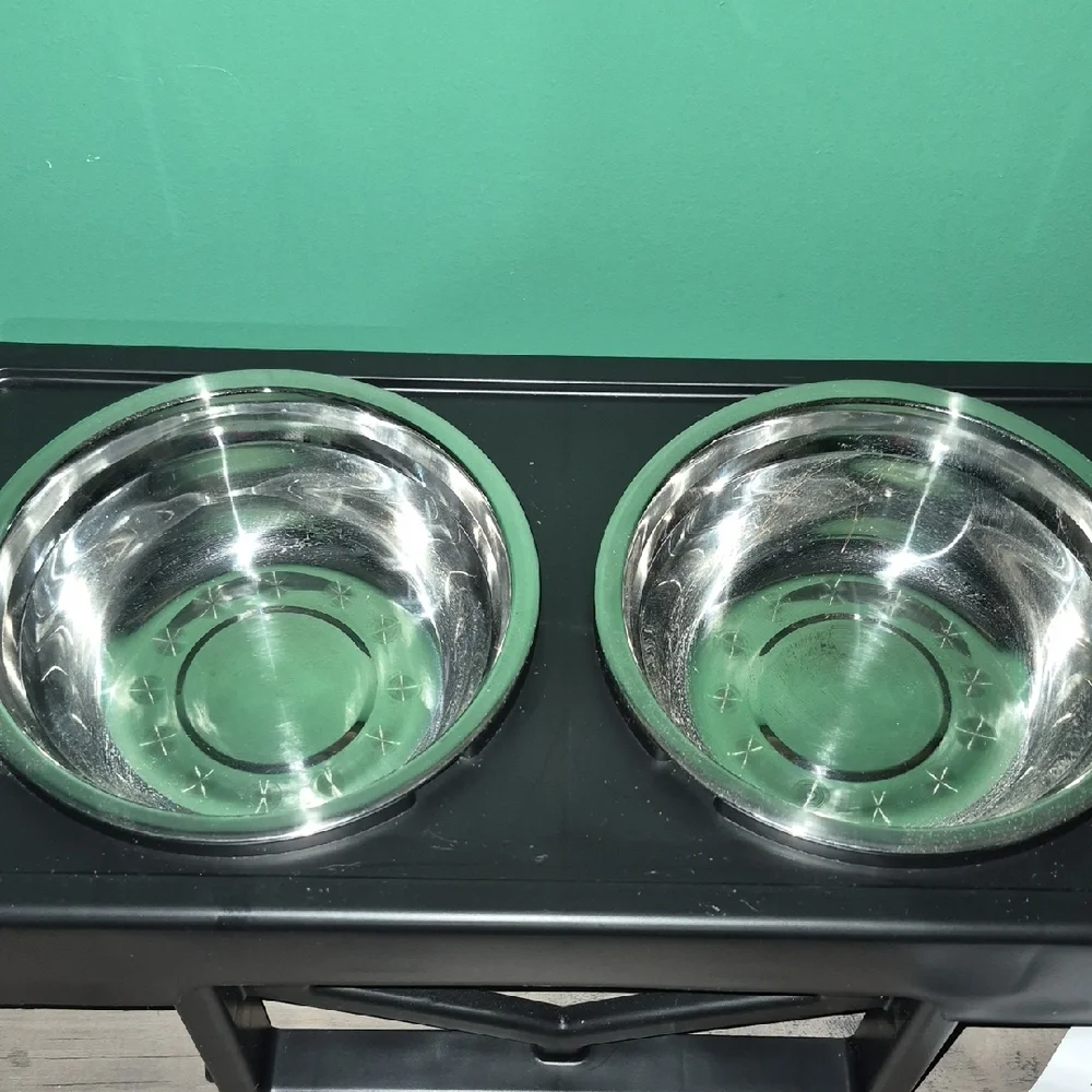 Elevated Pet Feeder with Silver Bowls